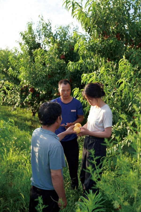 华瑞优配 年轻人辞职回村卖水果, 比打工开心