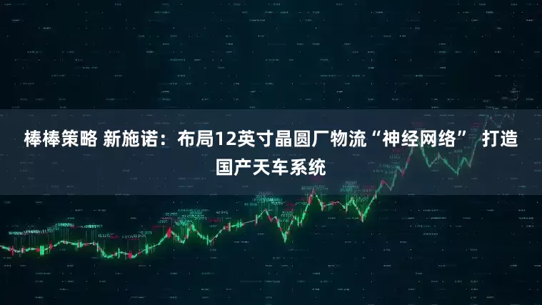 棒棒策略 新施诺：布局12英寸晶圆厂物流“神经网络”  打造国产天车系统