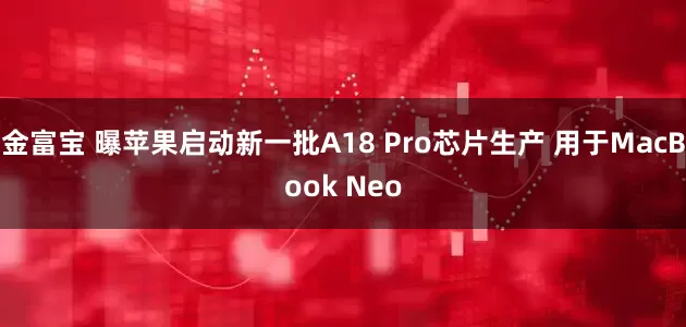 金富宝 曝苹果启动新一批A18 Pro芯片生产 用于MacBook Neo